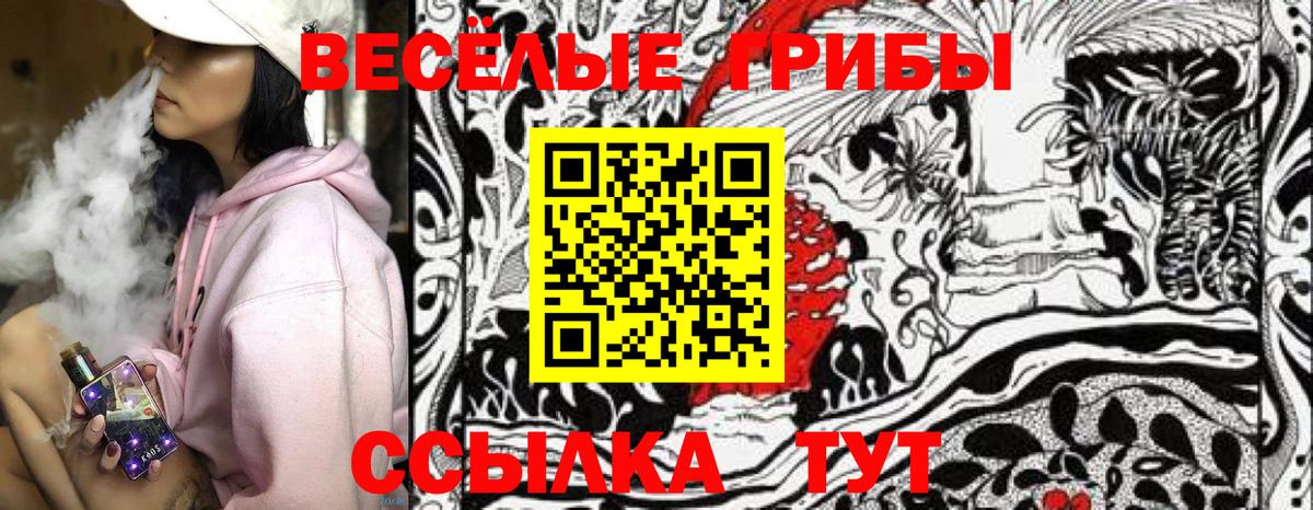 Кохма  Галлюциногенные грибы Magic Shrooms  купить  цена  Вход с VPN 