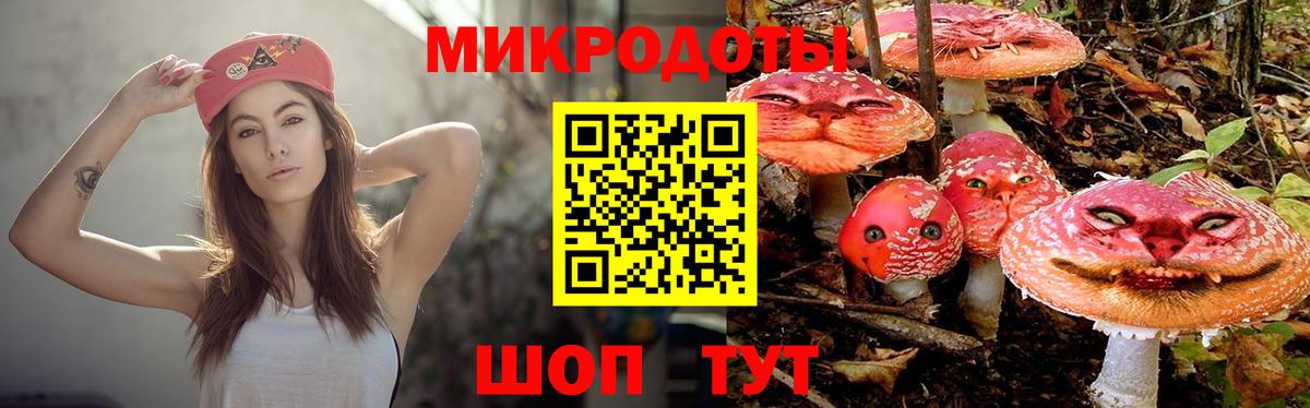 Галлюциногенные грибы GOLDEN TEACHER Кохма
